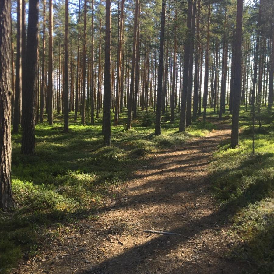 Stf Jaedraas Herrgard Экстерьер фото
